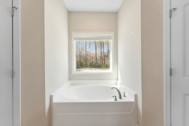 bathroom featuring a washtub