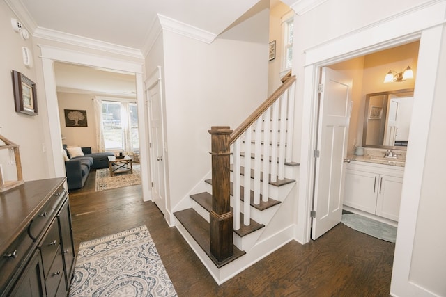 stairs with hardwood / wood-style flooring, ornamental molding, and sink