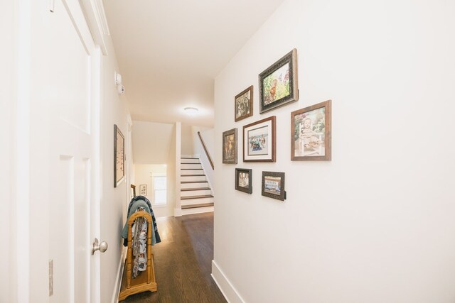 corridor with dark hardwood / wood-style flooring