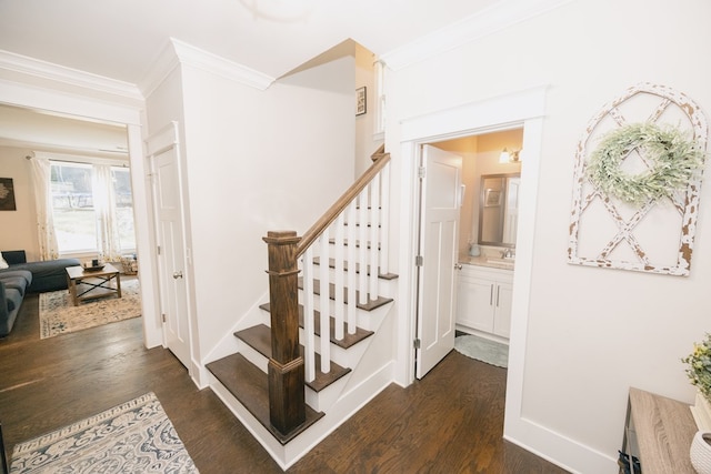 staircase featuring hardwood / wood-style floors, crown molding, and sink