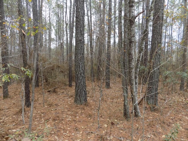 00 Mullins Rd, Hamilton, GA 31811