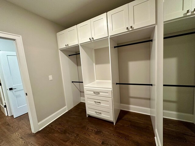 906 NE Winall Down Rd, Atlanta, GA 30319 - view of closet