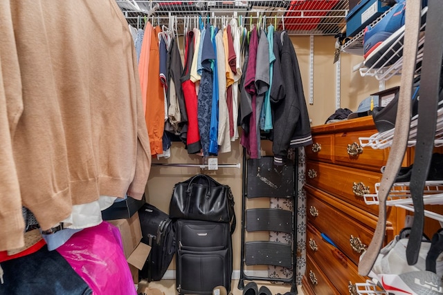 view of spacious closet