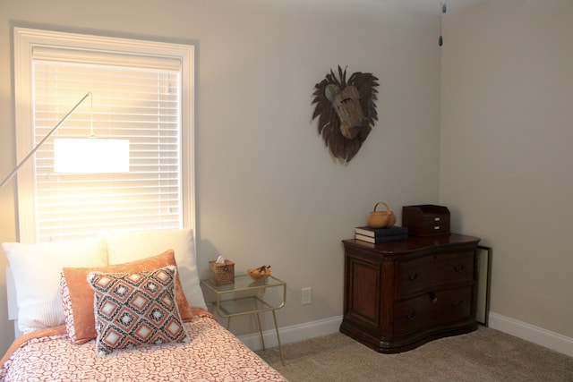 406 Lakeview Way, Lagrange, GA 30240 - carpeted bedroom featuring baseboards