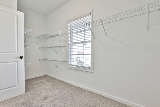 spacious closet featuring light colored carpet