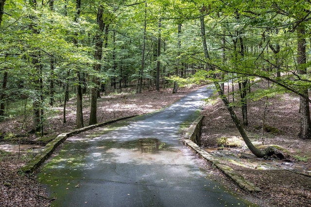 view of street featuring a view of trees