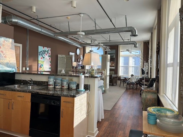 kitchen with ceiling fan, sink, black dishwasher, dark hardwood / wood-style floors, and dark stone counters