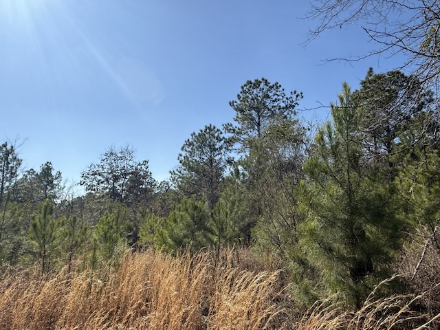 view of local wilderness featuring a wooded view