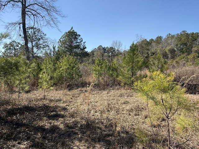 view of local wilderness featuring a view of trees