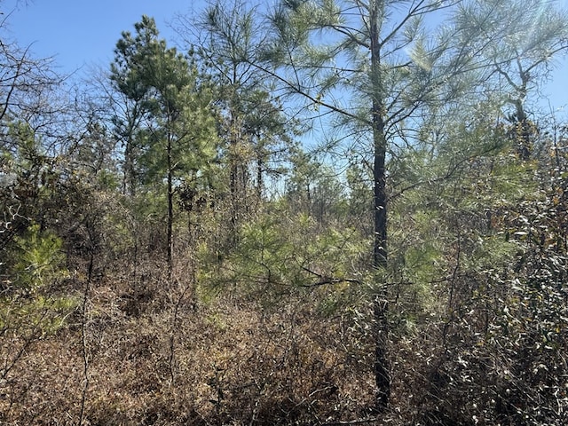 view of landscape with a wooded view