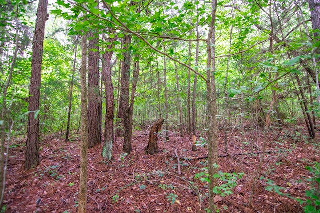 0 Ga Highway 0103, West Point, GA 31833