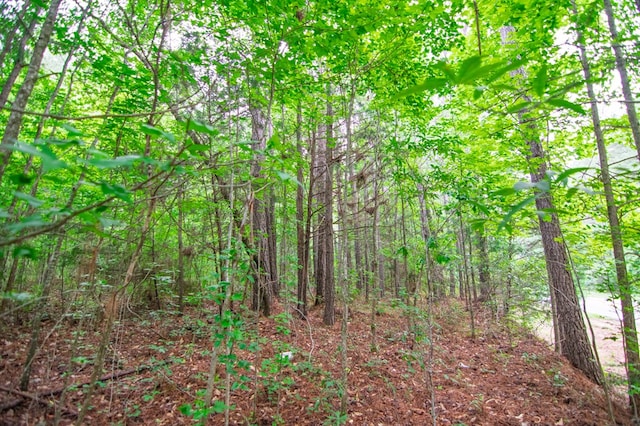0 Ga Highway 0103, West Point, GA 31833