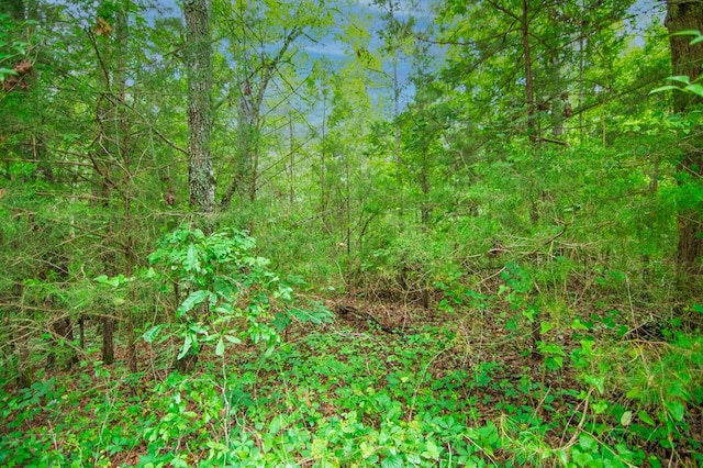 0 Ga Highway 0103, West Point, GA 31833