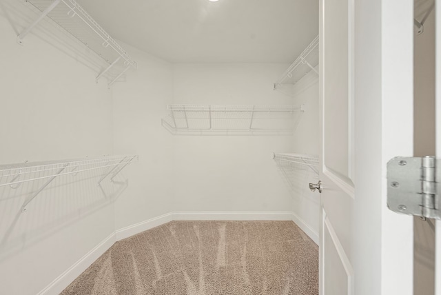 53 Hawthorn Ter, Fortson, GA 31808 - photo 22
