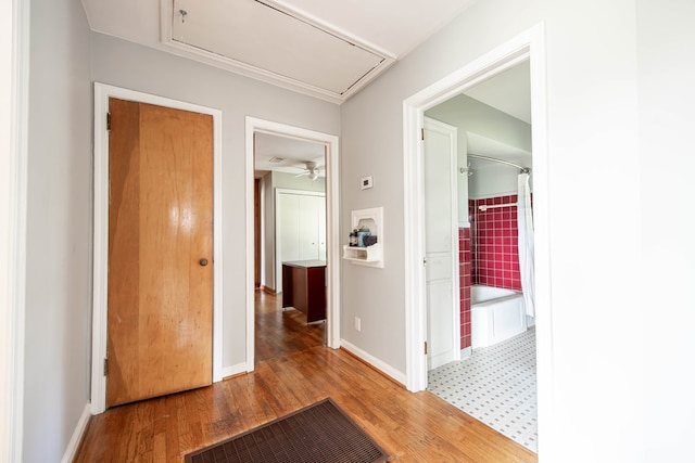 hallway featuring hardwood / wood-style floors