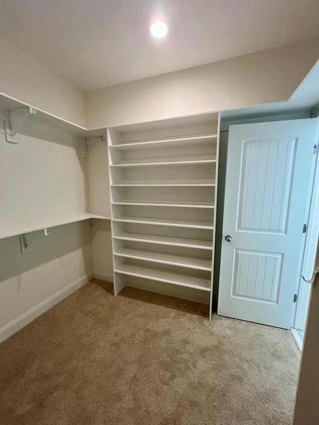 spacious closet featuring carpet floors