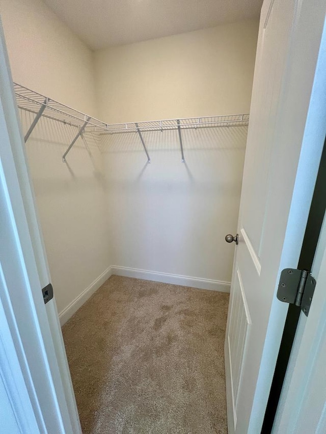 spacious closet featuring light colored carpet