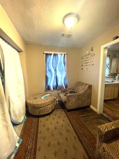 sitting room with a textured ceiling