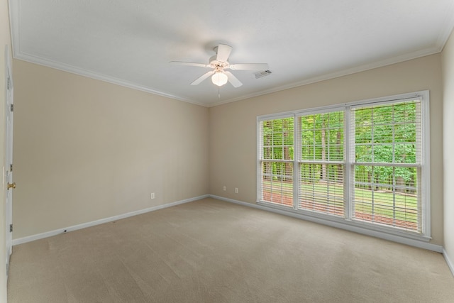 507-6 Biggers Rd, Columbus, GA 31904 - photo 53