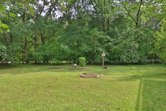 view of green lawn