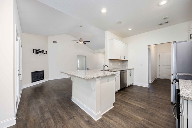 1170 Railroad Ave, Smiths Station, AL 36877 - kitchen featuring appliances with stainless steel finishes, a peninsula, lofted ceiling, dark wood-style flooring, and ceiling fan