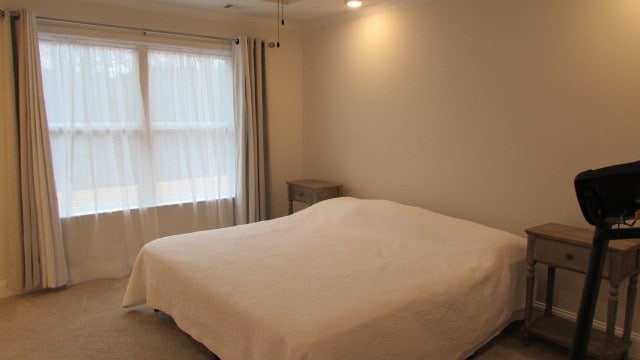 bedroom featuring crown molding, carpet flooring, and multiple windows