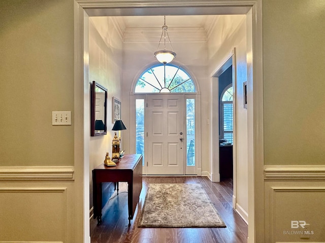 foyer entrance with crown molding and dark hardwood / wood-style flooring