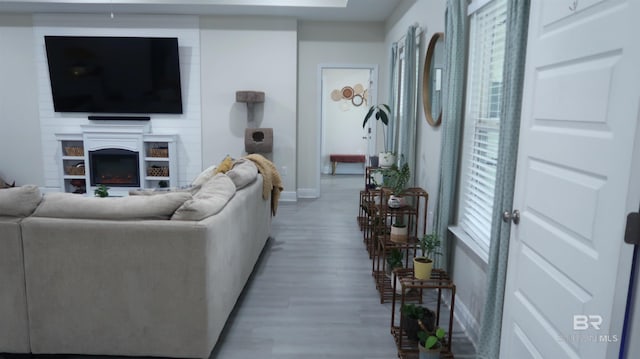 living room with a fireplace and wood-type flooring