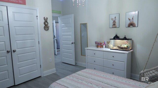 bedroom with hardwood / wood-style flooring and a closet