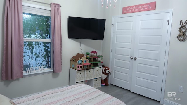 bedroom featuring wood-type flooring