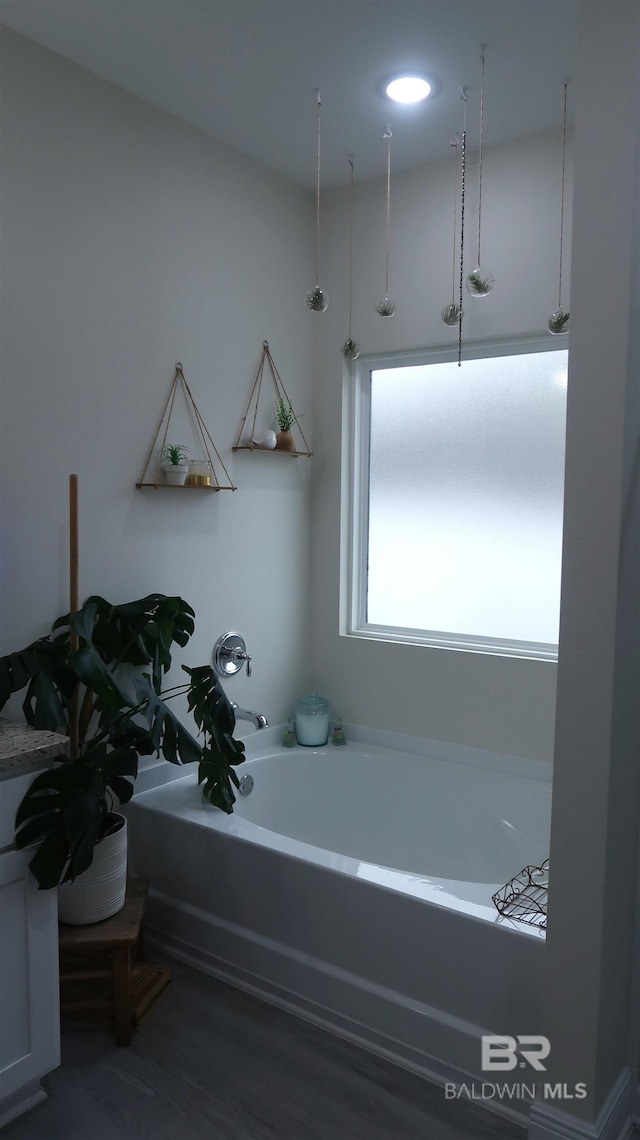 bathroom featuring a washtub and hardwood / wood-style flooring