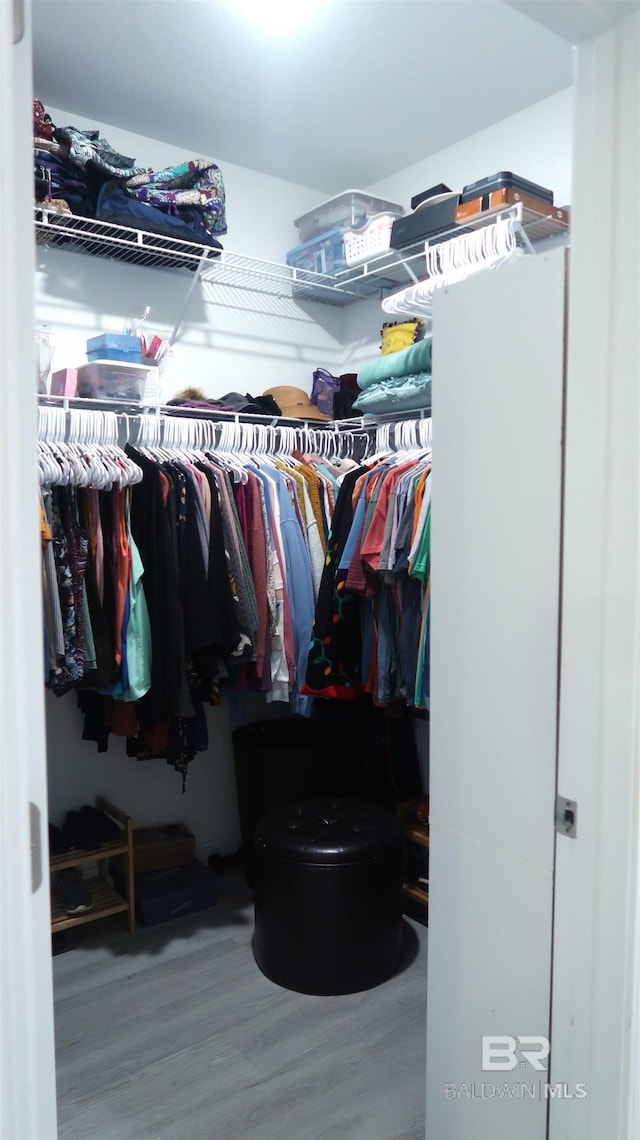 spacious closet with hardwood / wood-style flooring