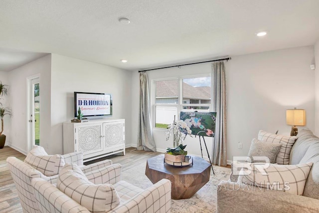 living room with light hardwood / wood-style flooring and a wealth of natural light