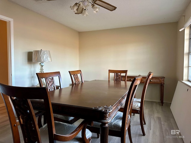 dining area with a wealth of natural light, ceiling fan, a textured ceiling, and hardwood / wood-style flooring