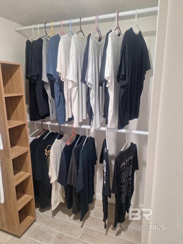 view of spacious closet