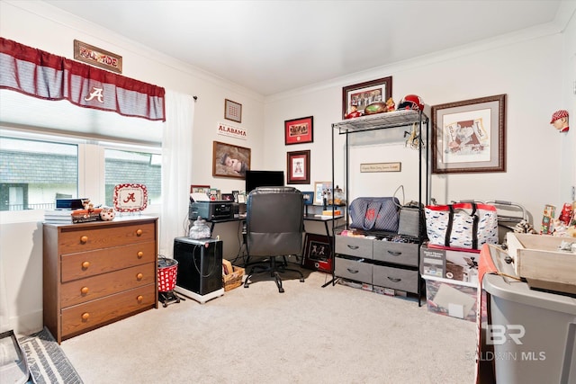 office space with carpet flooring and ornamental molding