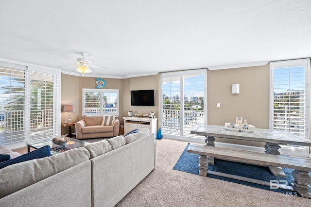 carpeted living area featuring a ceiling fan and ornamental molding