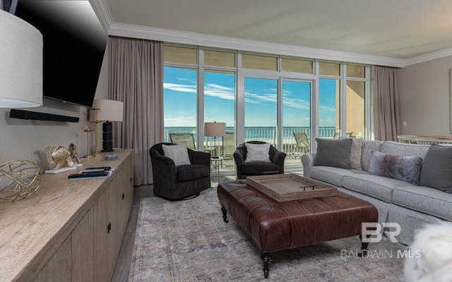 living room featuring crown molding and expansive windows