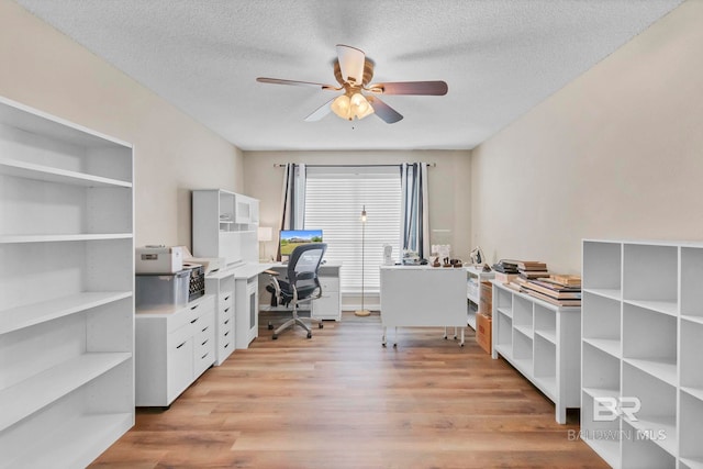 office area featuring a ceiling fan, light wood finished floors, and a textured ceiling