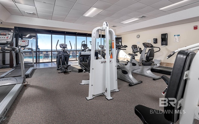 exercise room featuring floor to ceiling windows and a drop ceiling