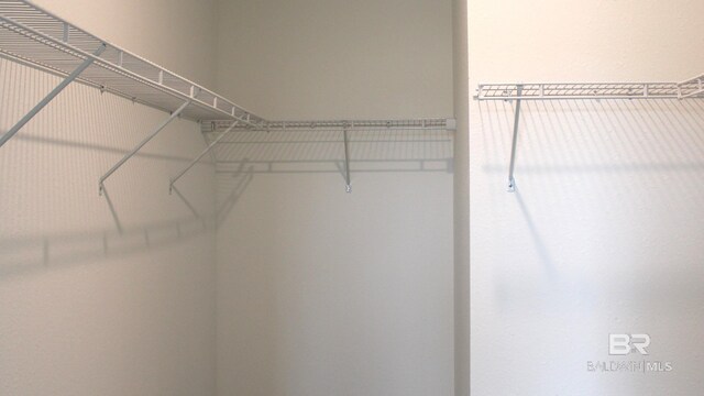 8992 Chabo Cir, Foley, AL 36535 - view of walk in closet