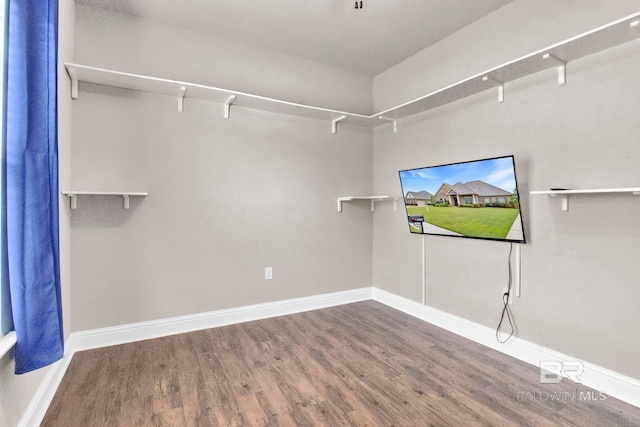 spacious closet with hardwood / wood-style floors