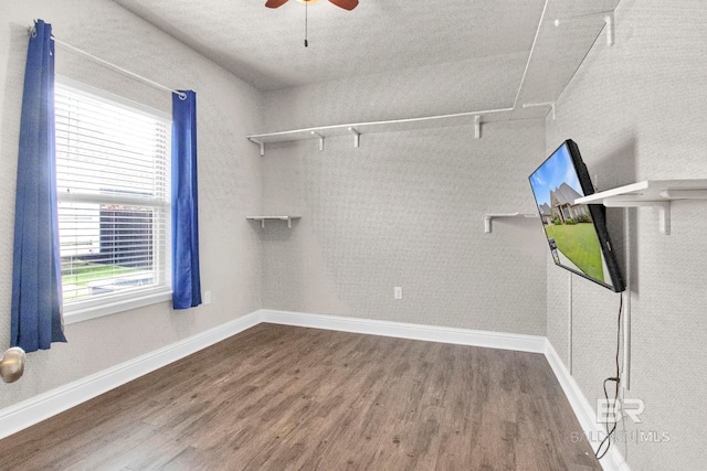 spare room with ceiling fan and hardwood / wood-style floors