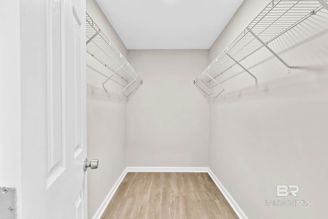 15030 Marem Dr, Foley, AL 36535 - spacious closet featuring light wood-style flooring
