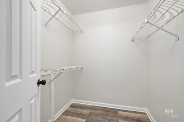 spacious closet with dark hardwood / wood-style flooring