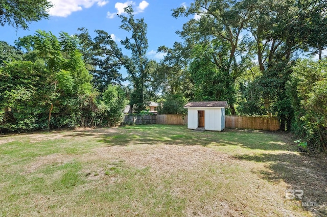 view of yard featuring a storage shed