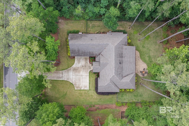 3250 Riviere Du Chien Rd, Mobile, AL 36693 - aerial view of property and surrounding area
