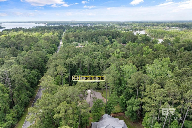 3250 Riviere Du Chien Rd, Mobile, AL 36693 - drone / aerial view of a forest and a nearby body of water