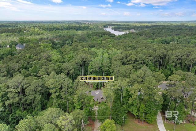 3250 Riviere Du Chien Rd, Mobile, AL 36693 - aerial view of a forest and a large body of water
