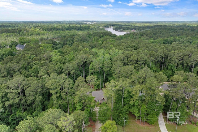 3250 Riviere Du Chien Rd, Mobile, AL 36693 - aerial view of a forest and a nearby body of water